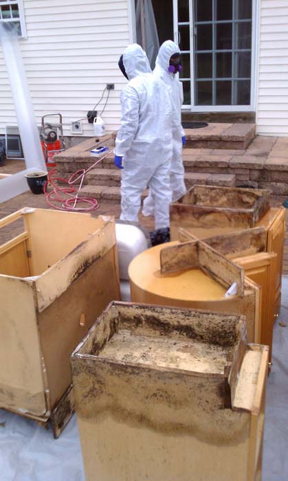 Mesa AZ mold Removal