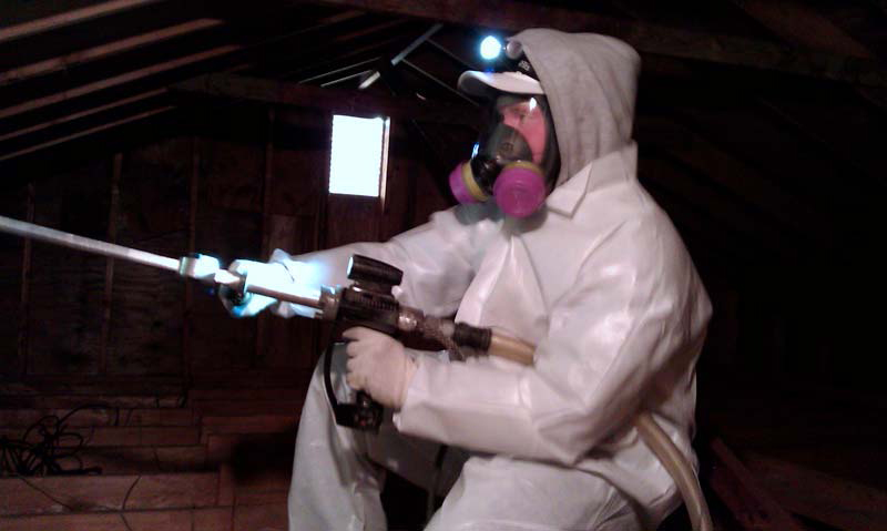 mold remediation Mesa